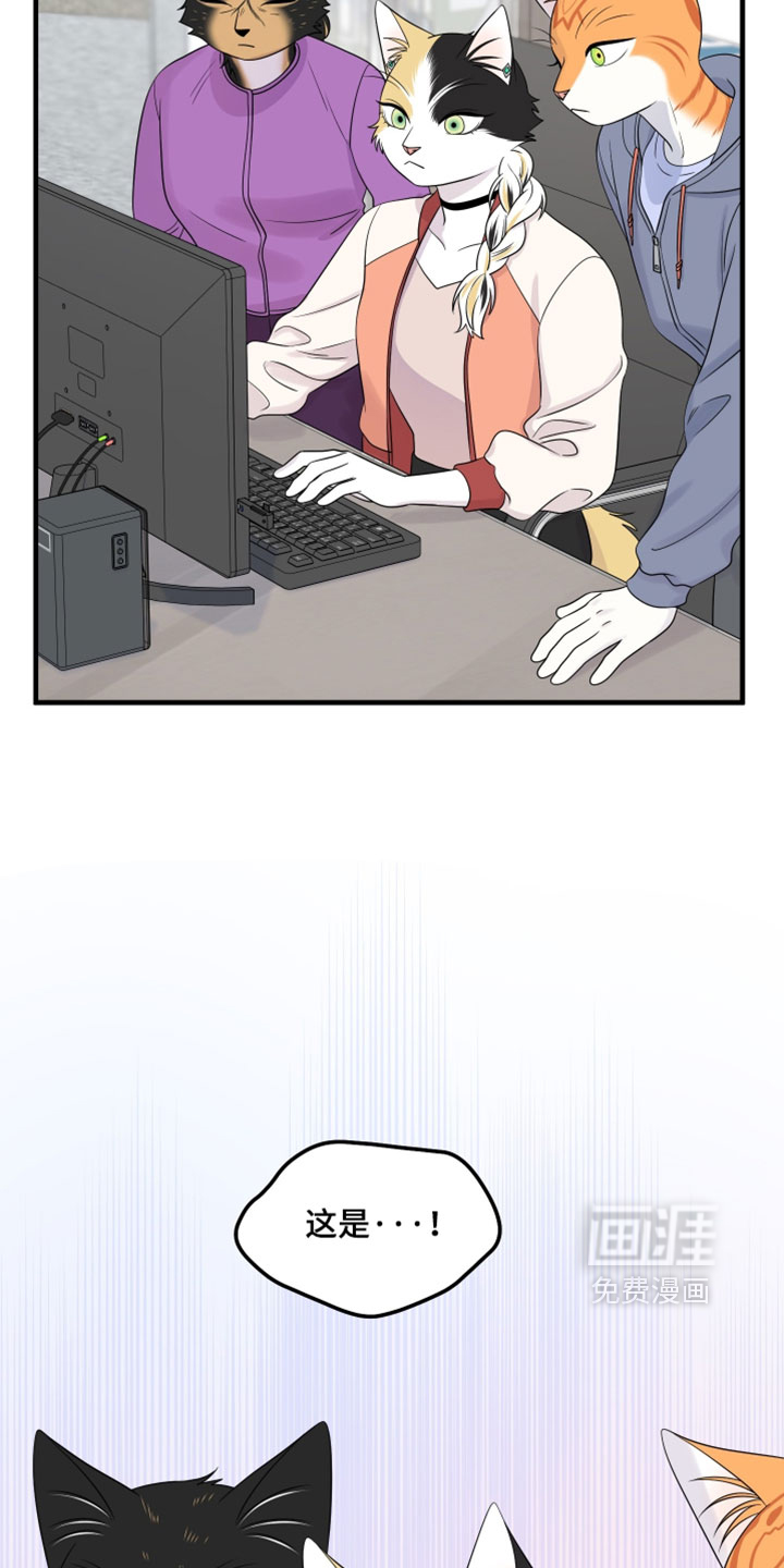 第178话11