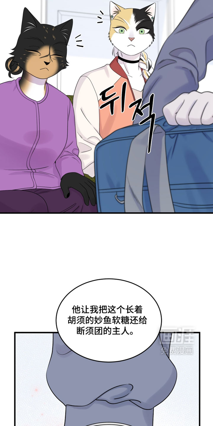 第178话4