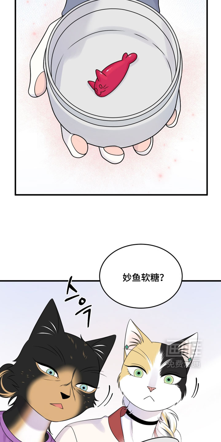 第178话5