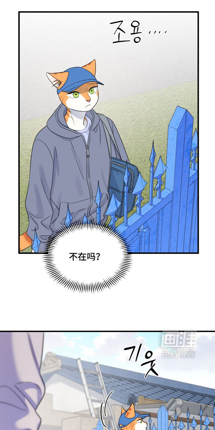 第177话5