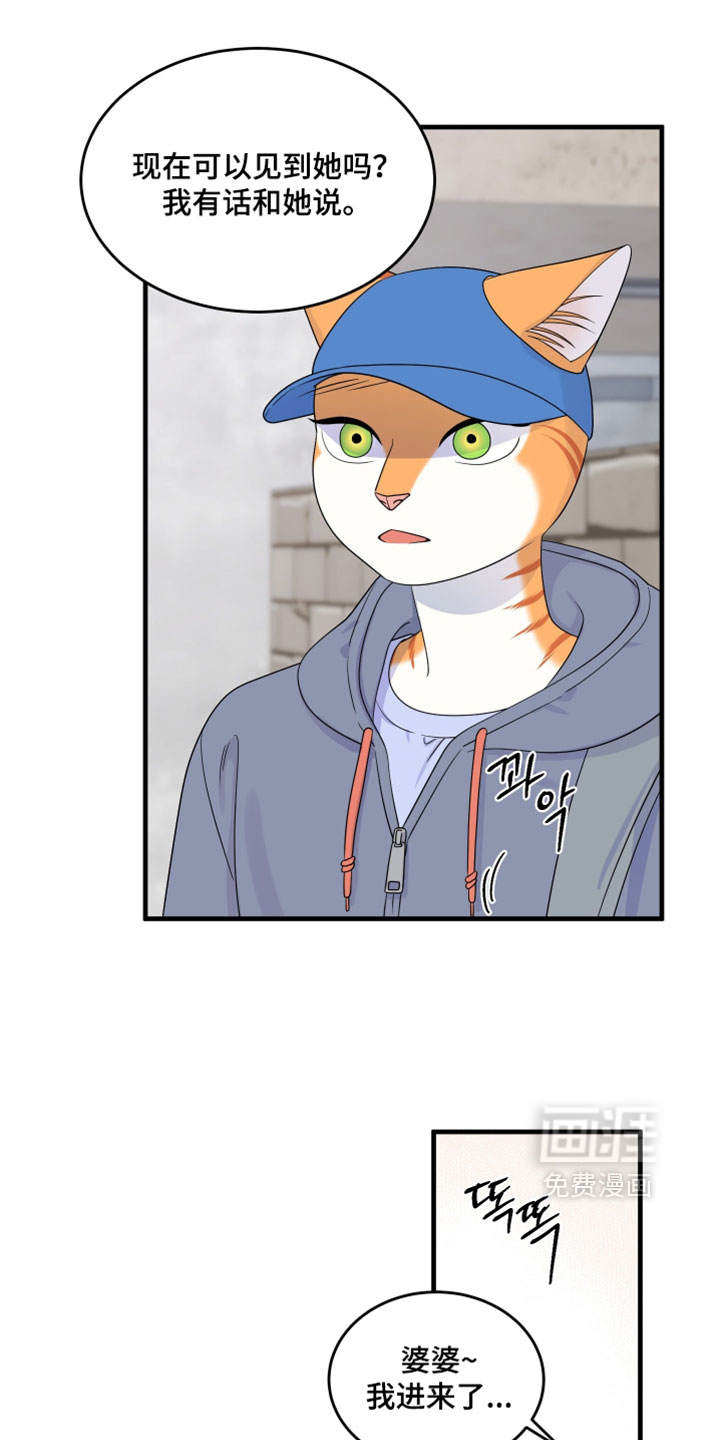 第177话12