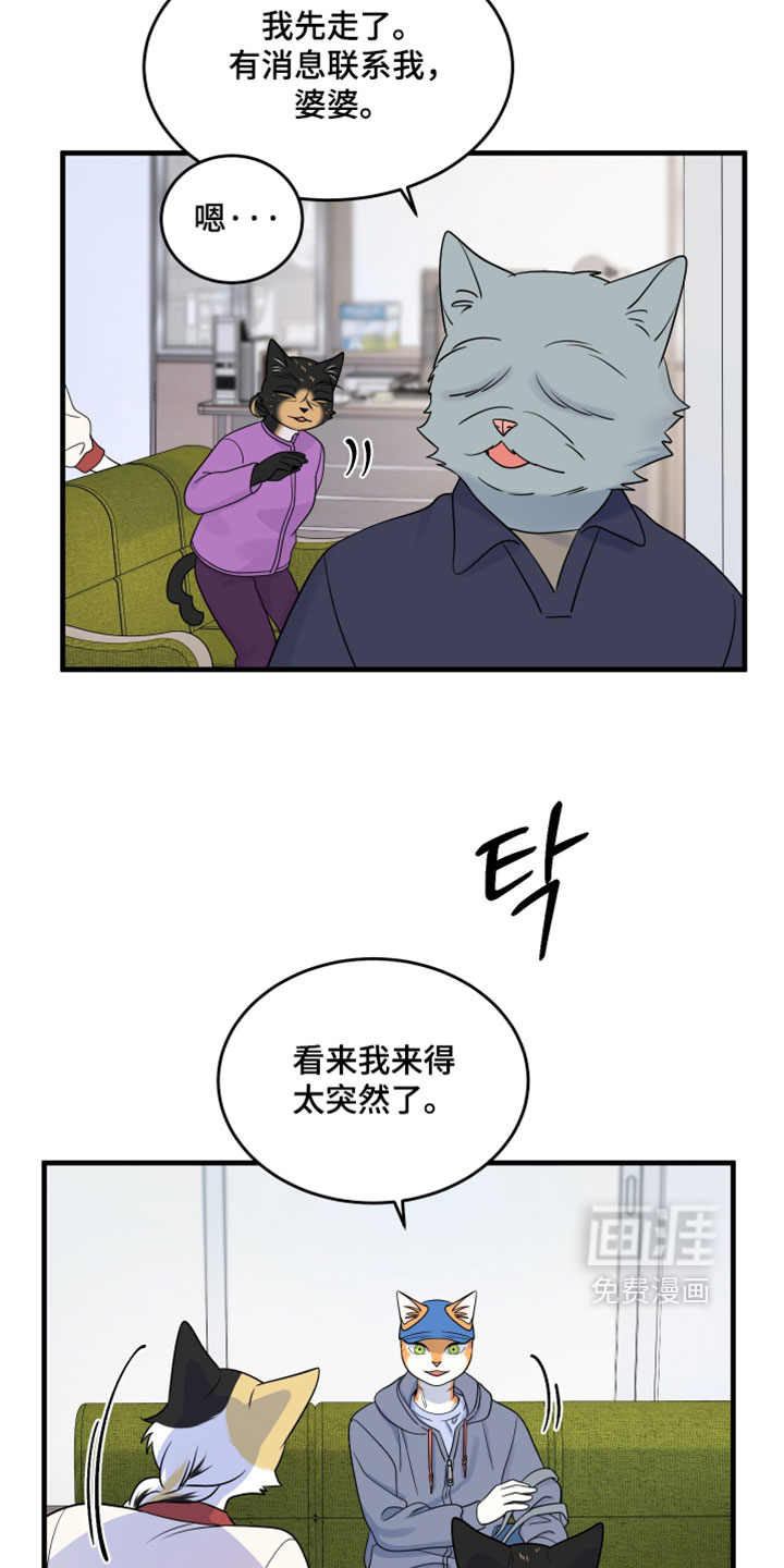 第177话15