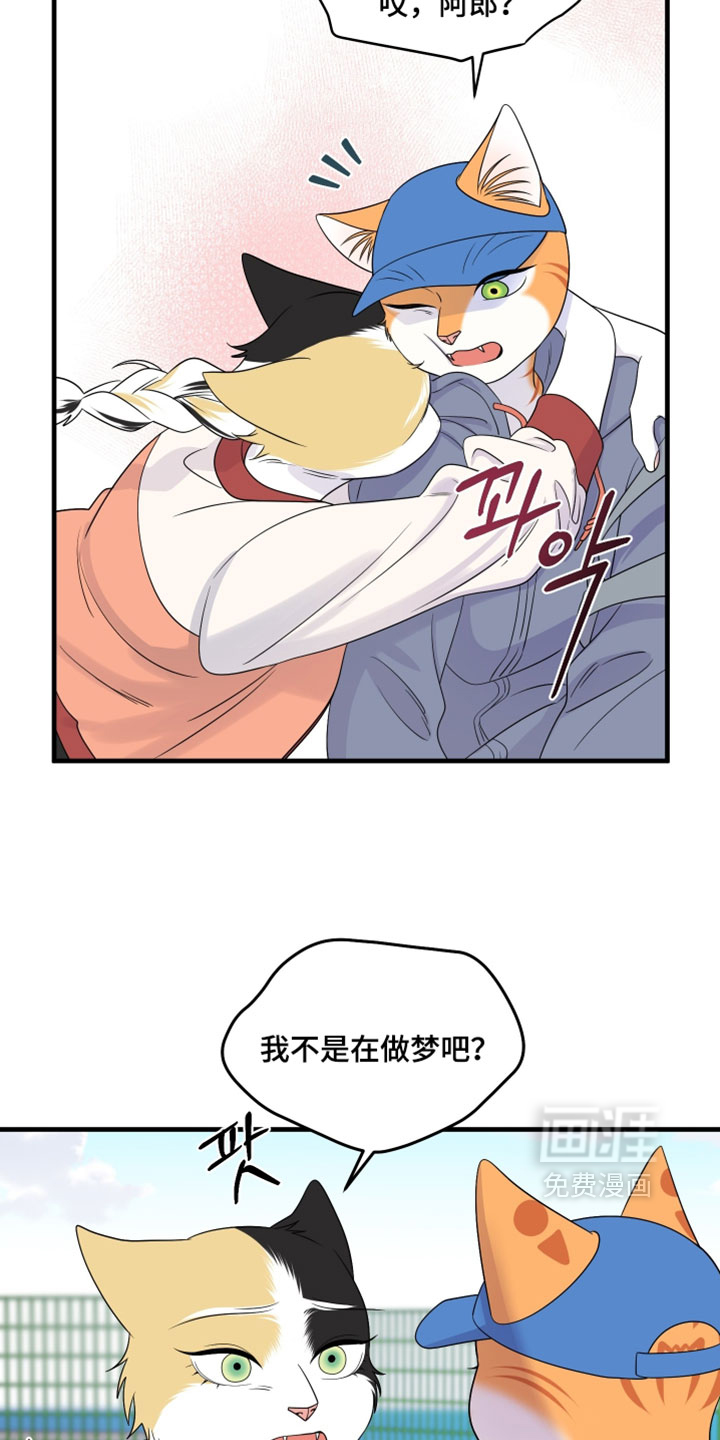 第177话8