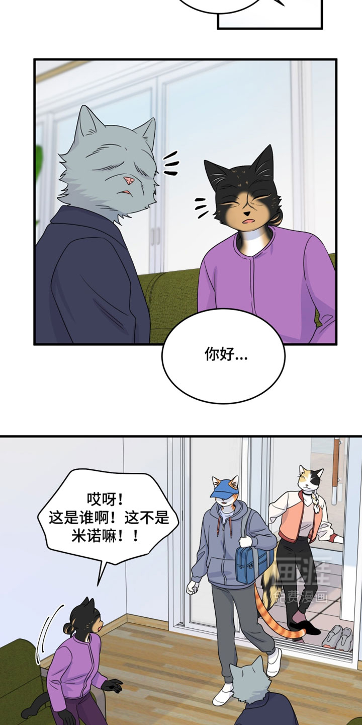 第177话13