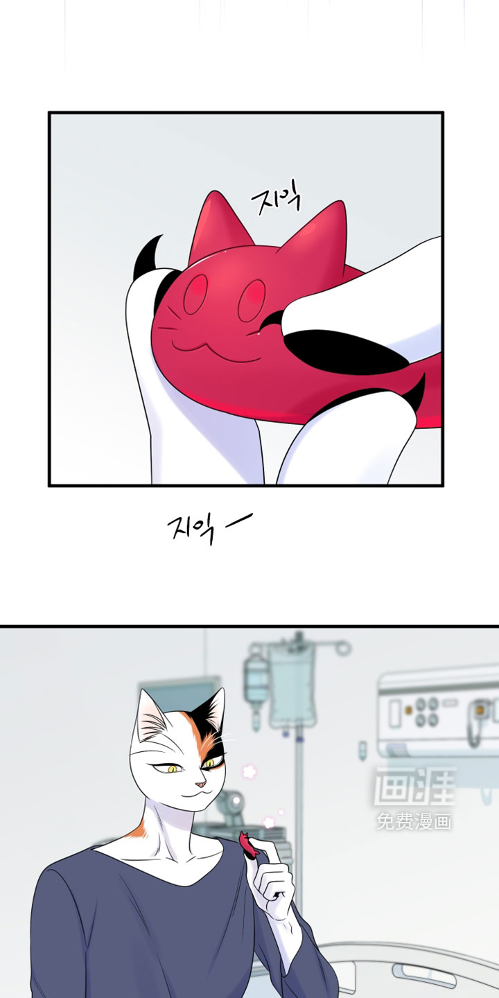 第176话1