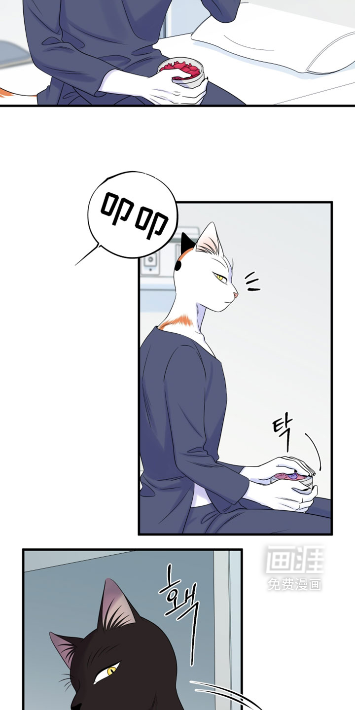 第176话2