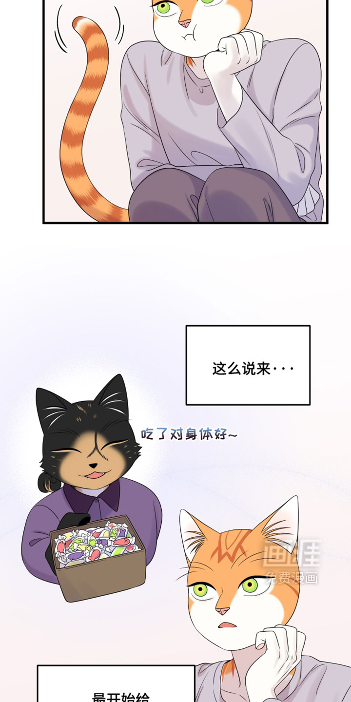 第176话12