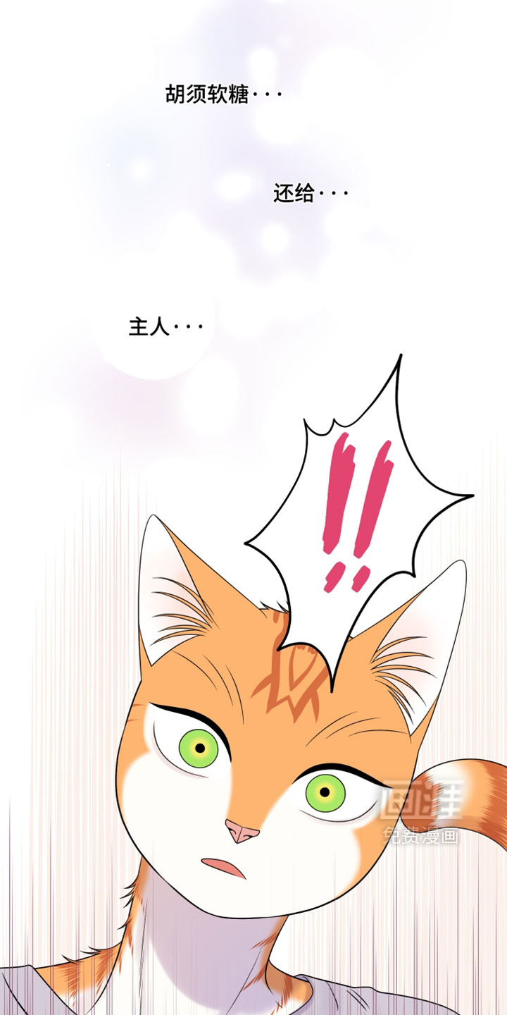 第176话14