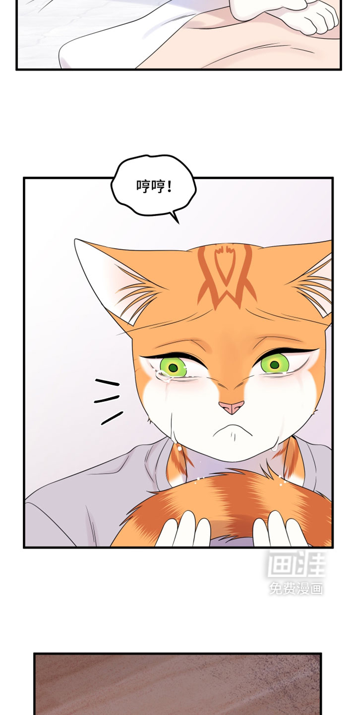 第175话5