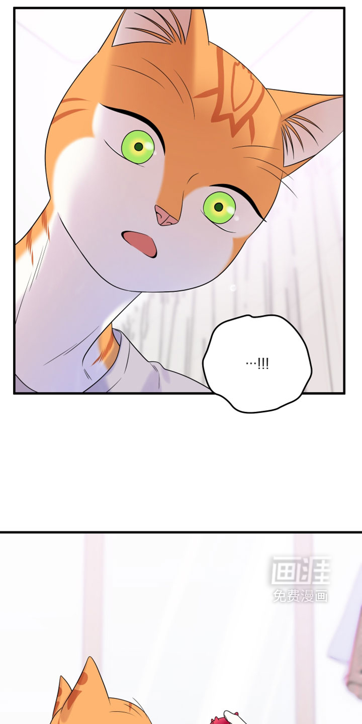 第175话14