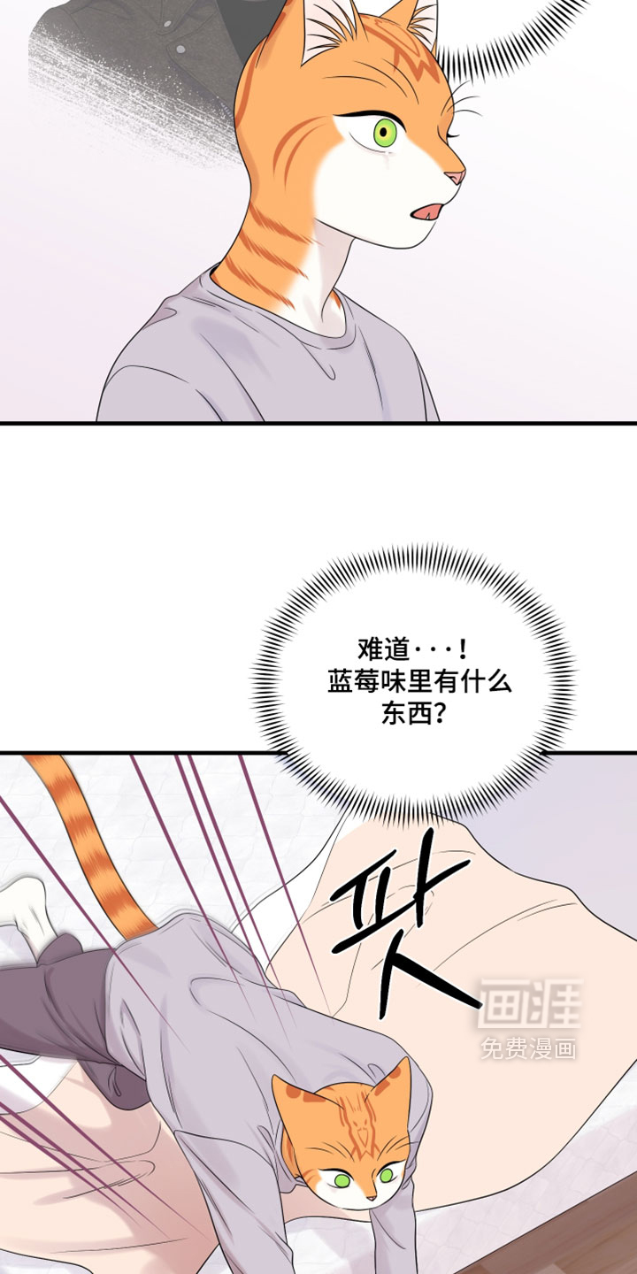 第175话11