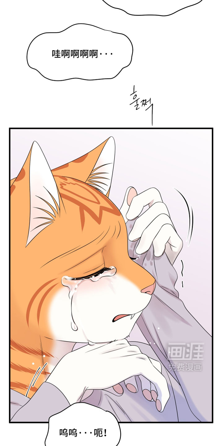 第175话3