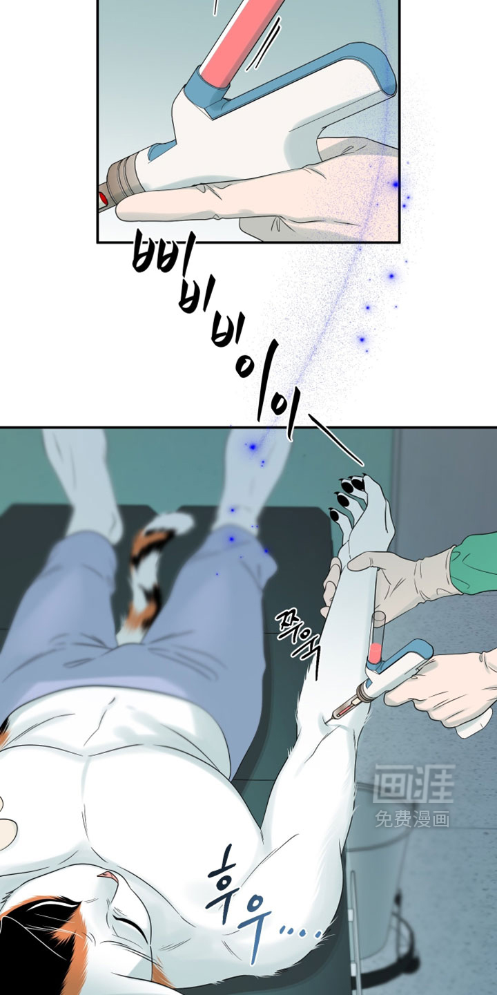 第182话11