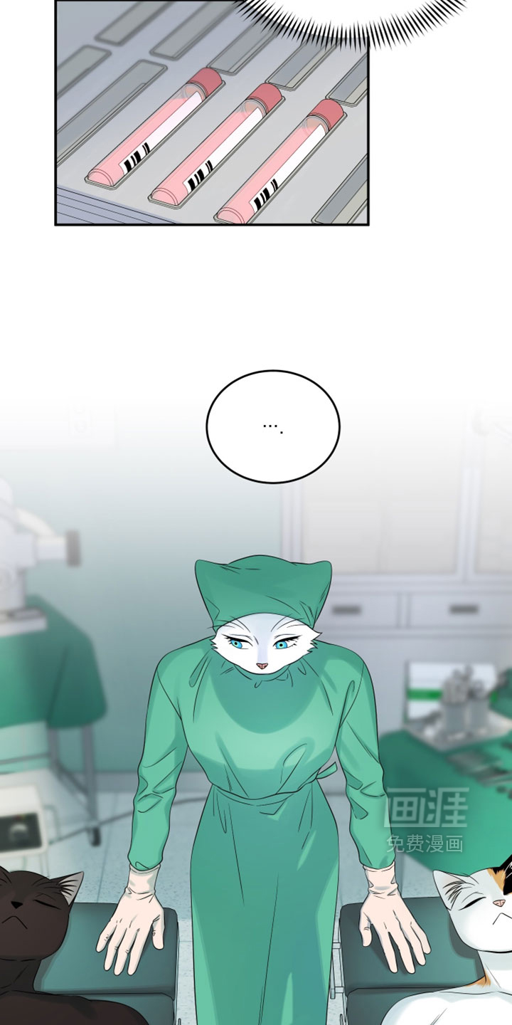 第182话13