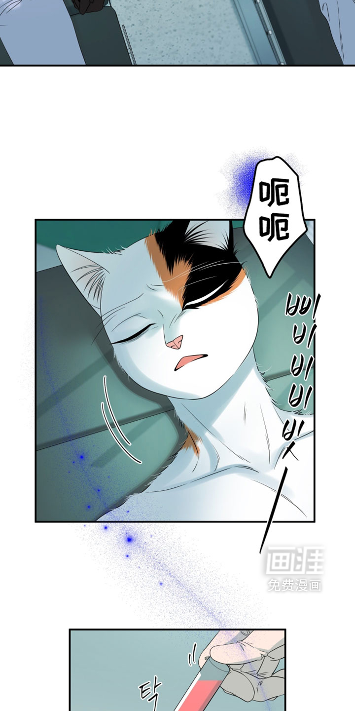 第182话10