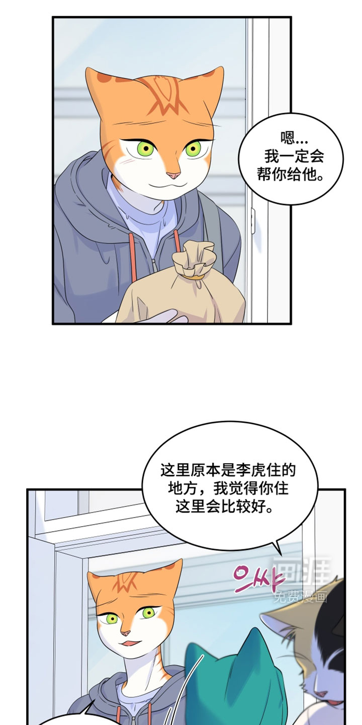 第181话14