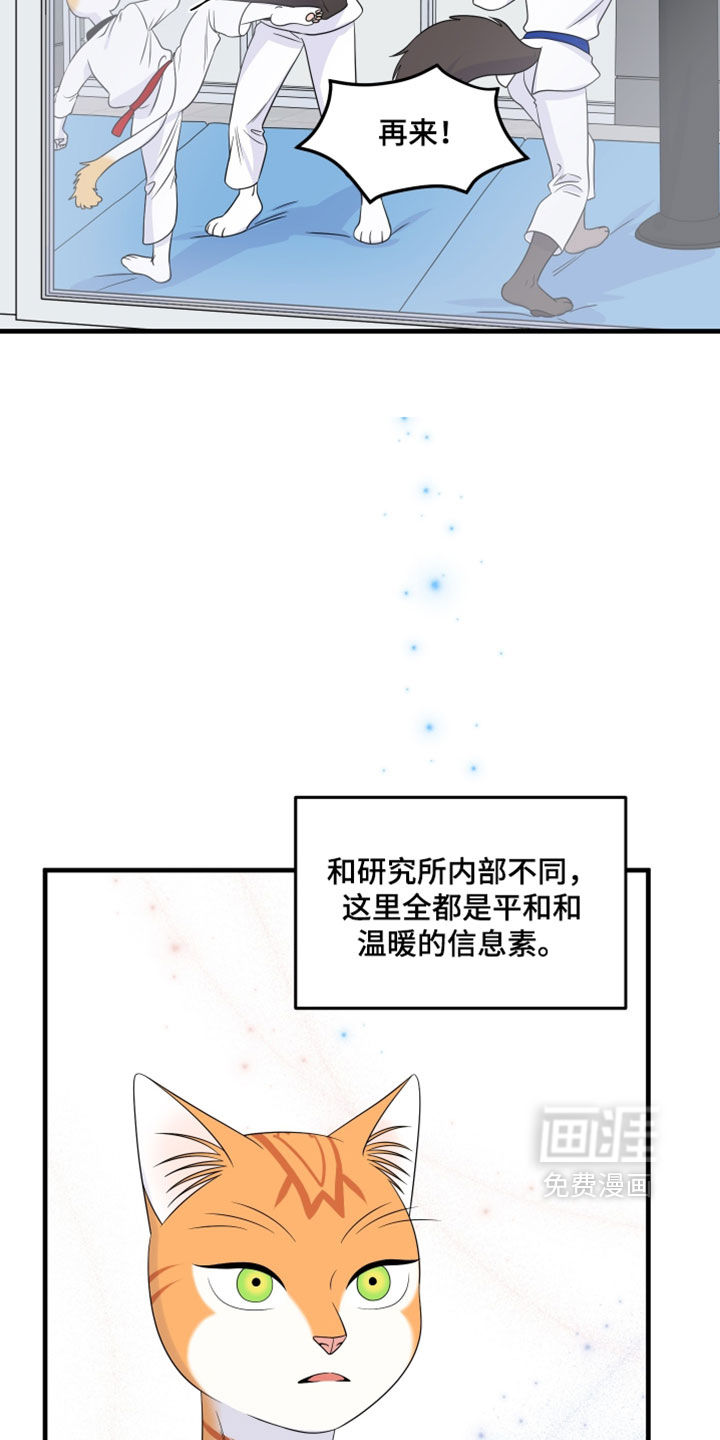 第181话6