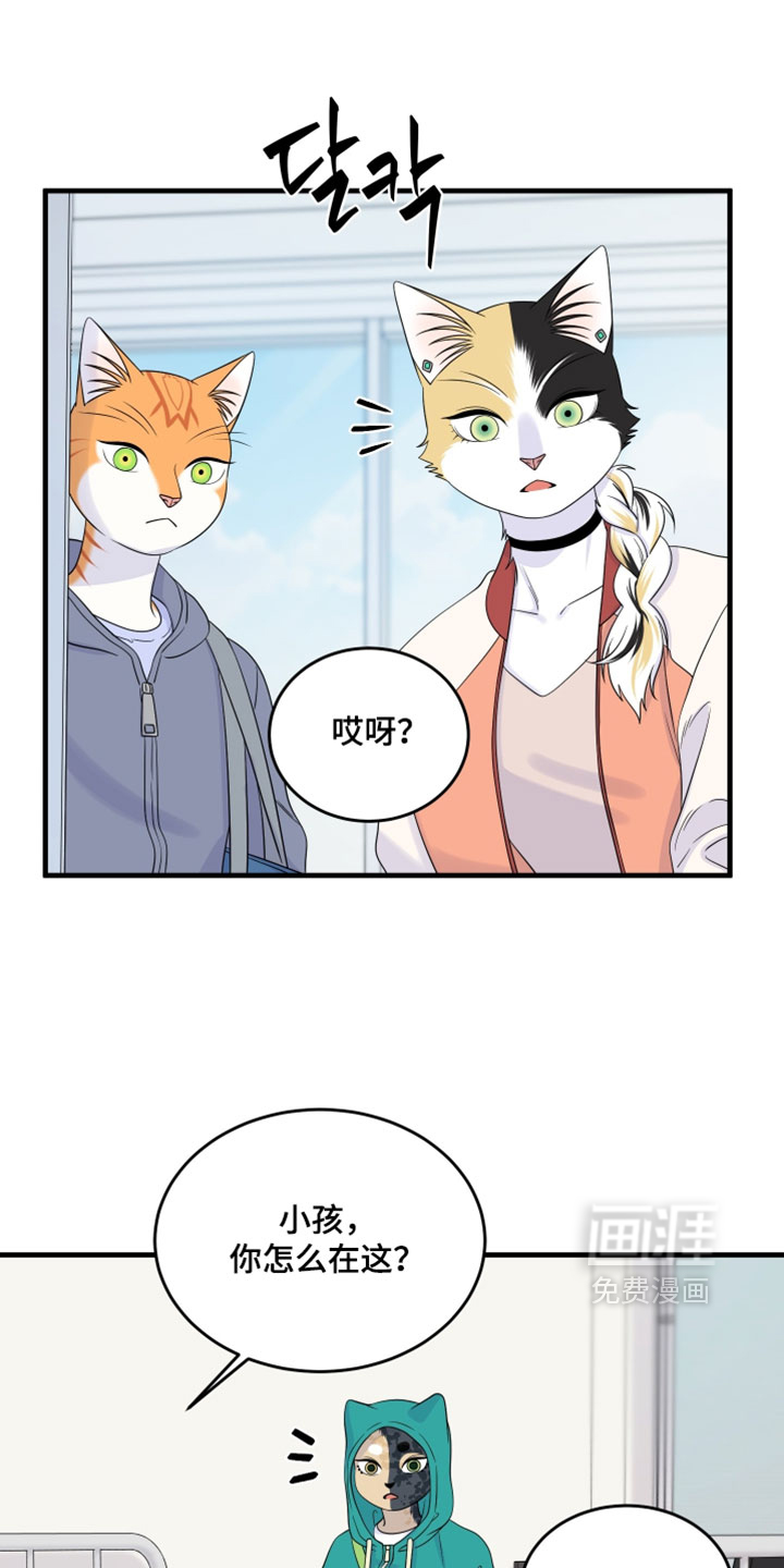 第181话8