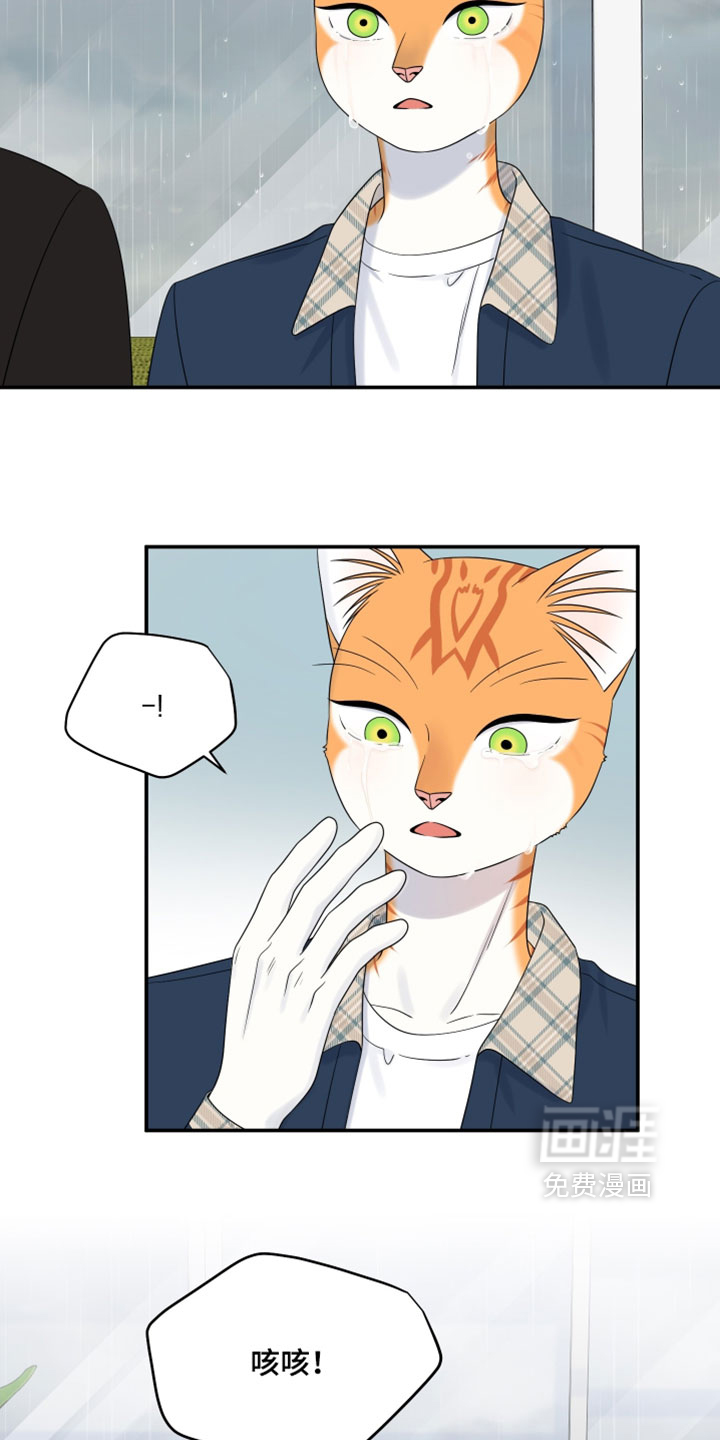 第186话1