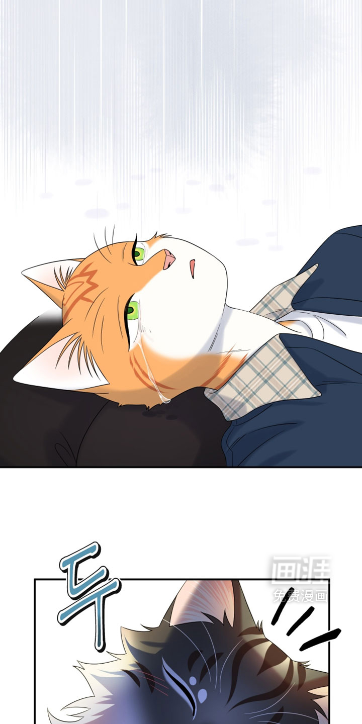 第185话12