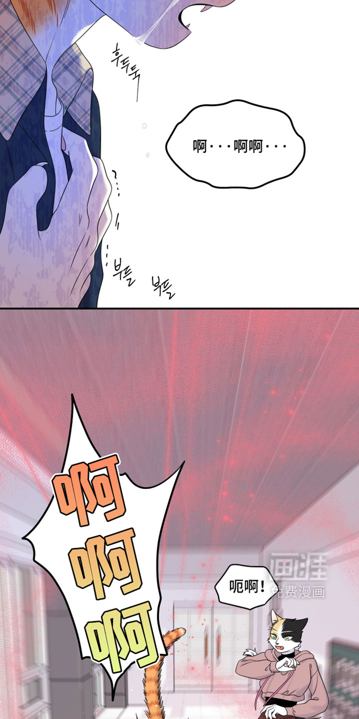 第185话2