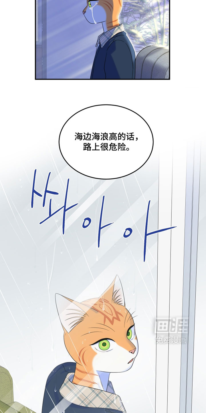 第185话17