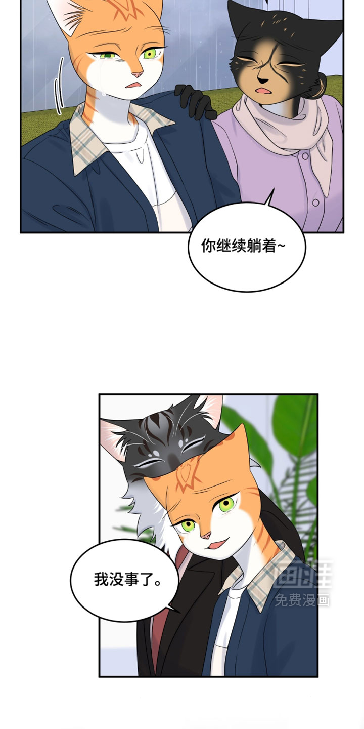 第185话15