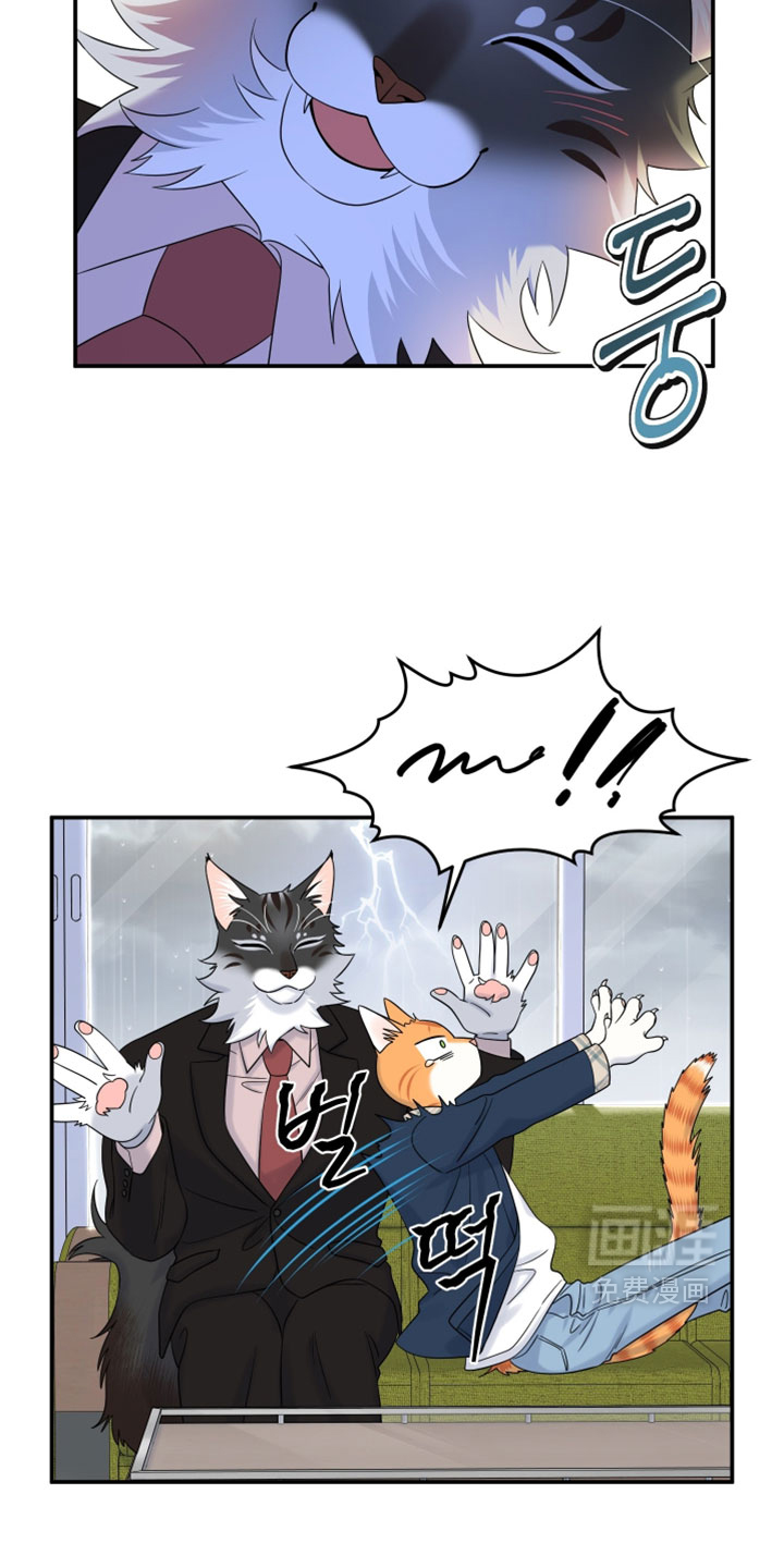 第185话13