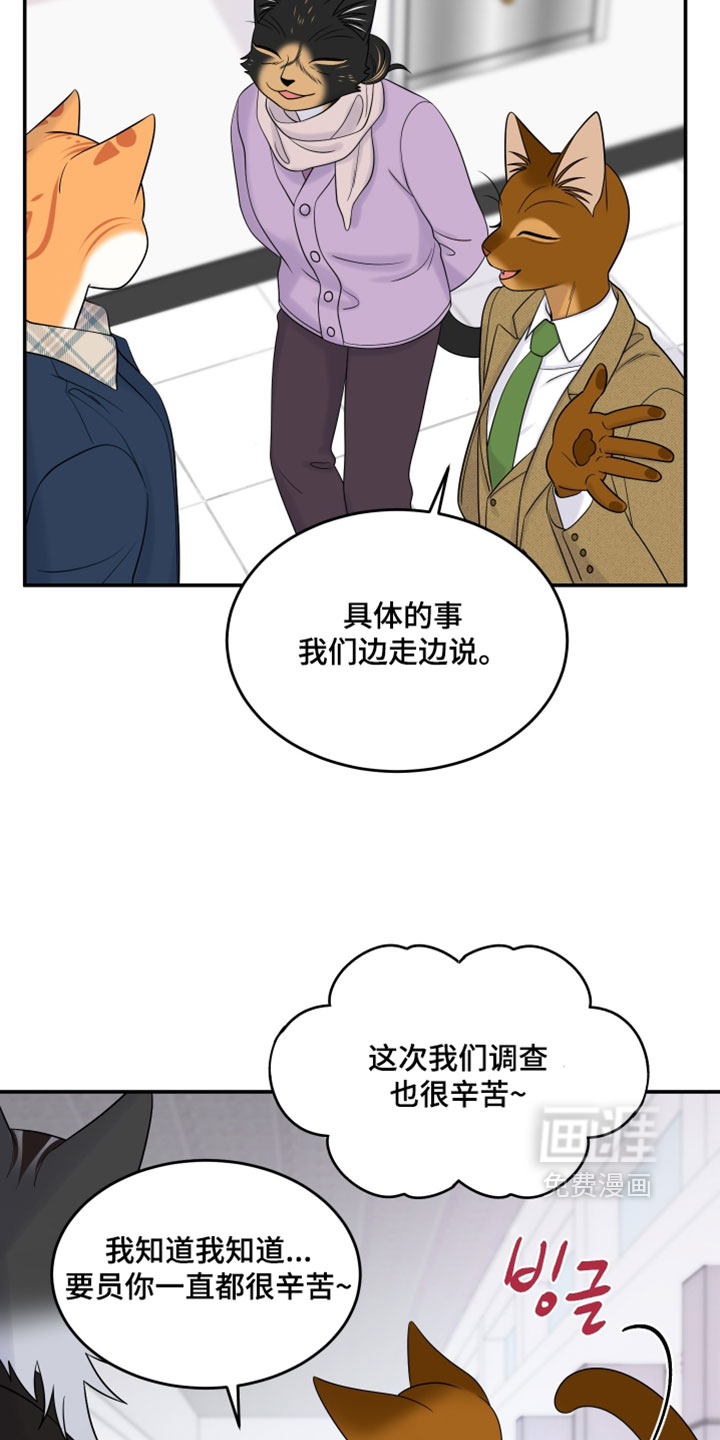 第184话11
