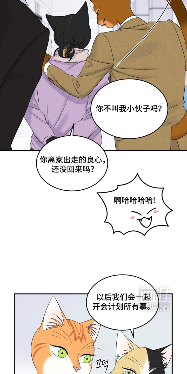 第184话12