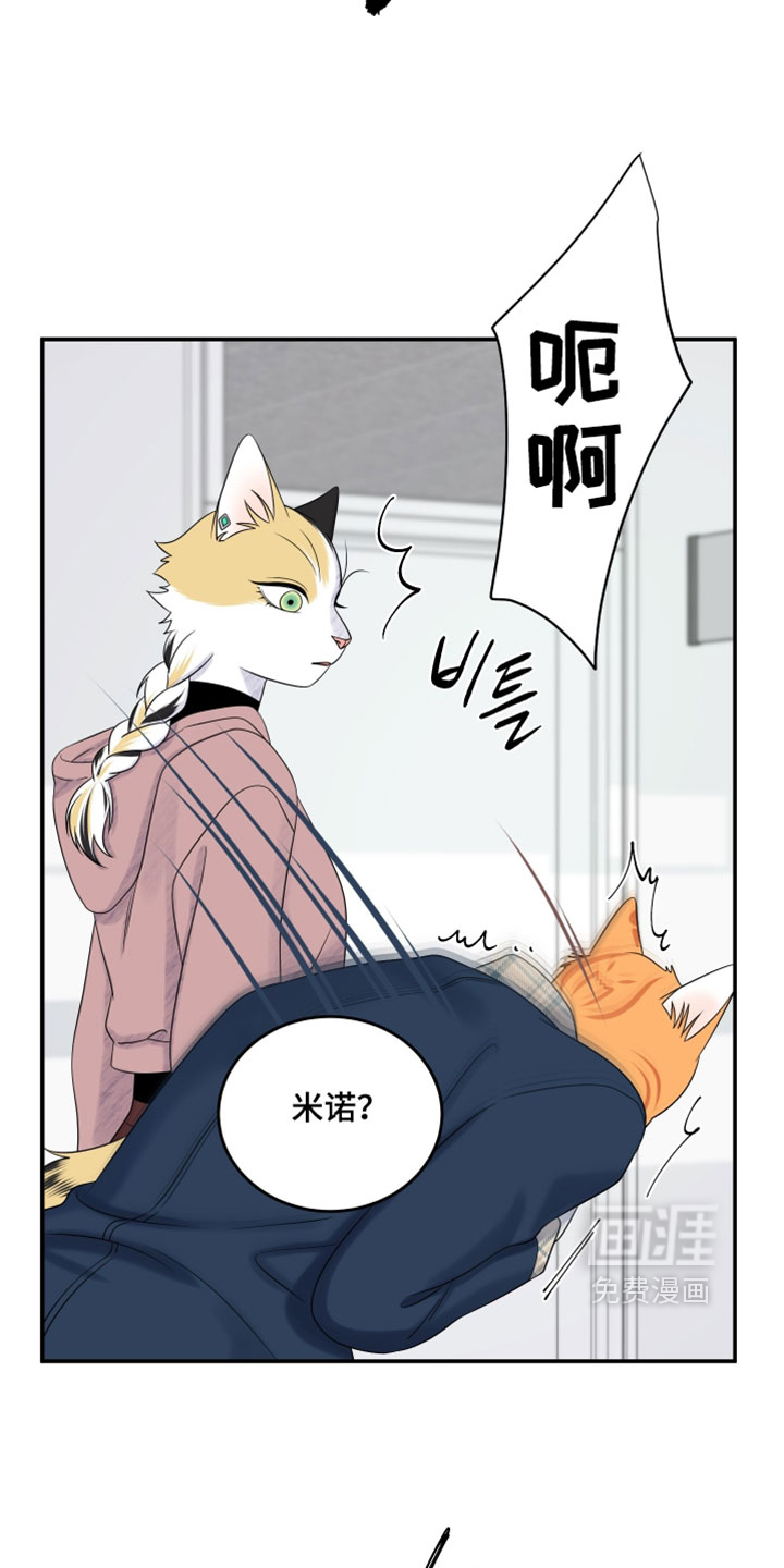 第184话16
