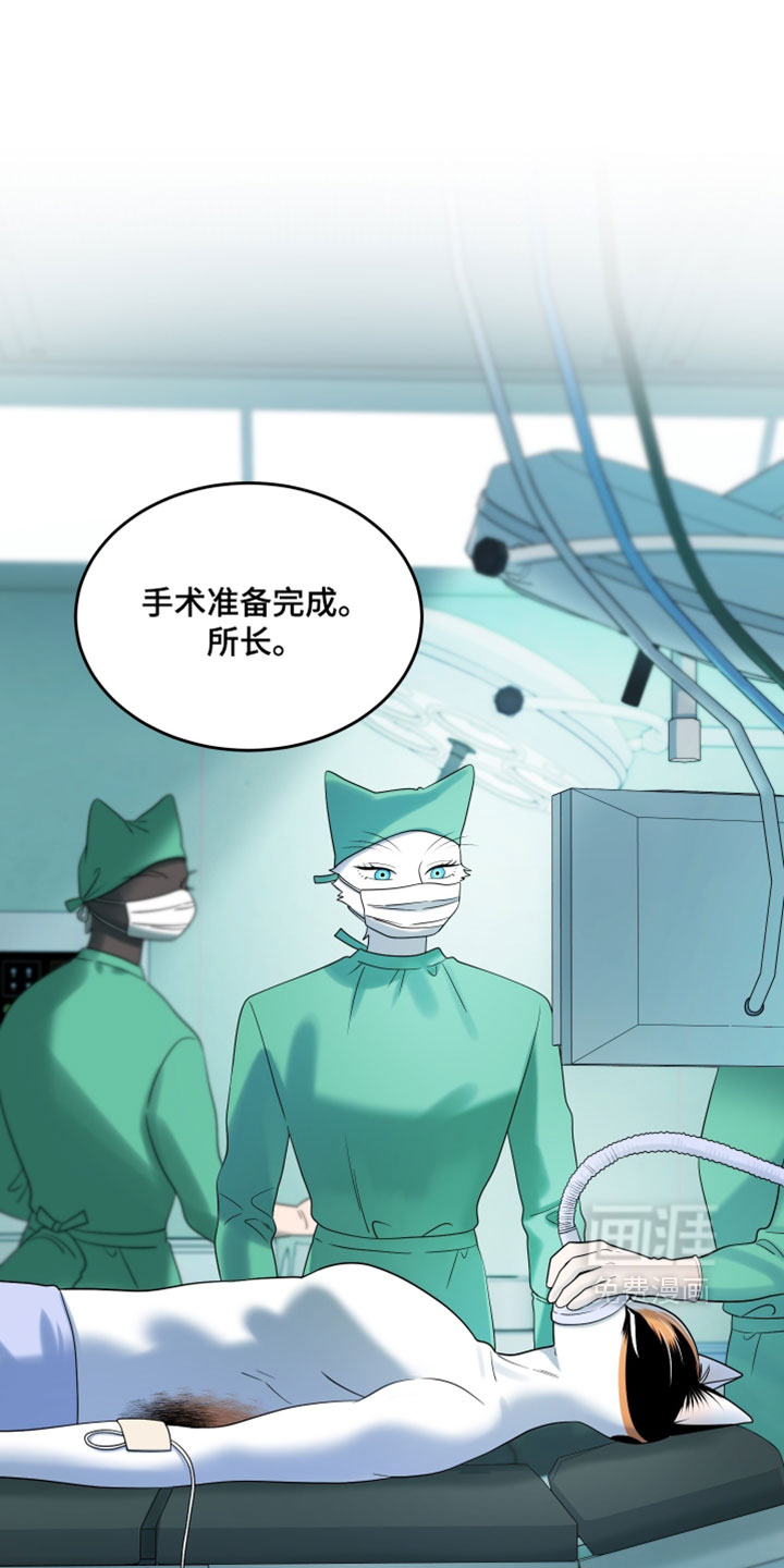 第184话0