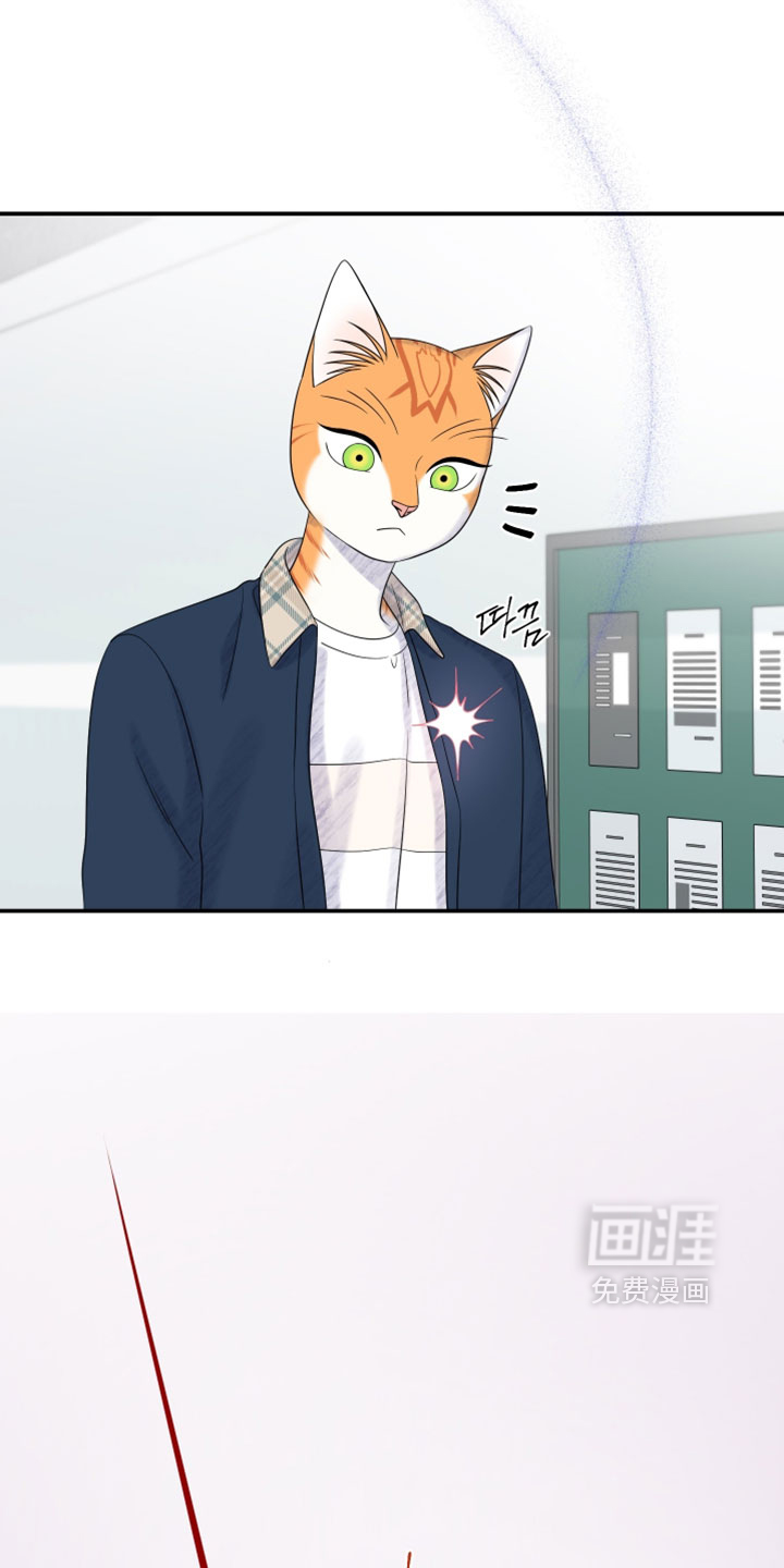 第184话14