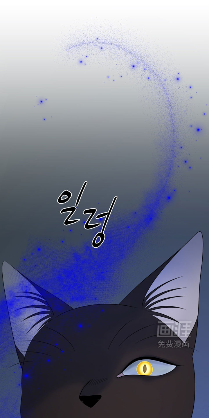 第189话14