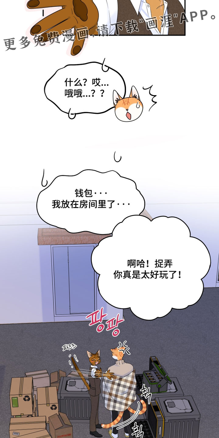 第187话14