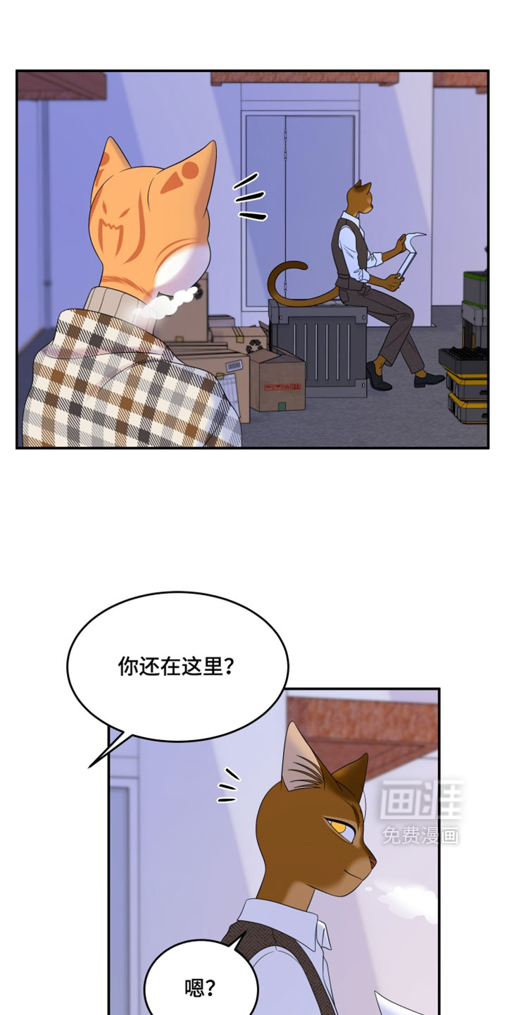 第187话4