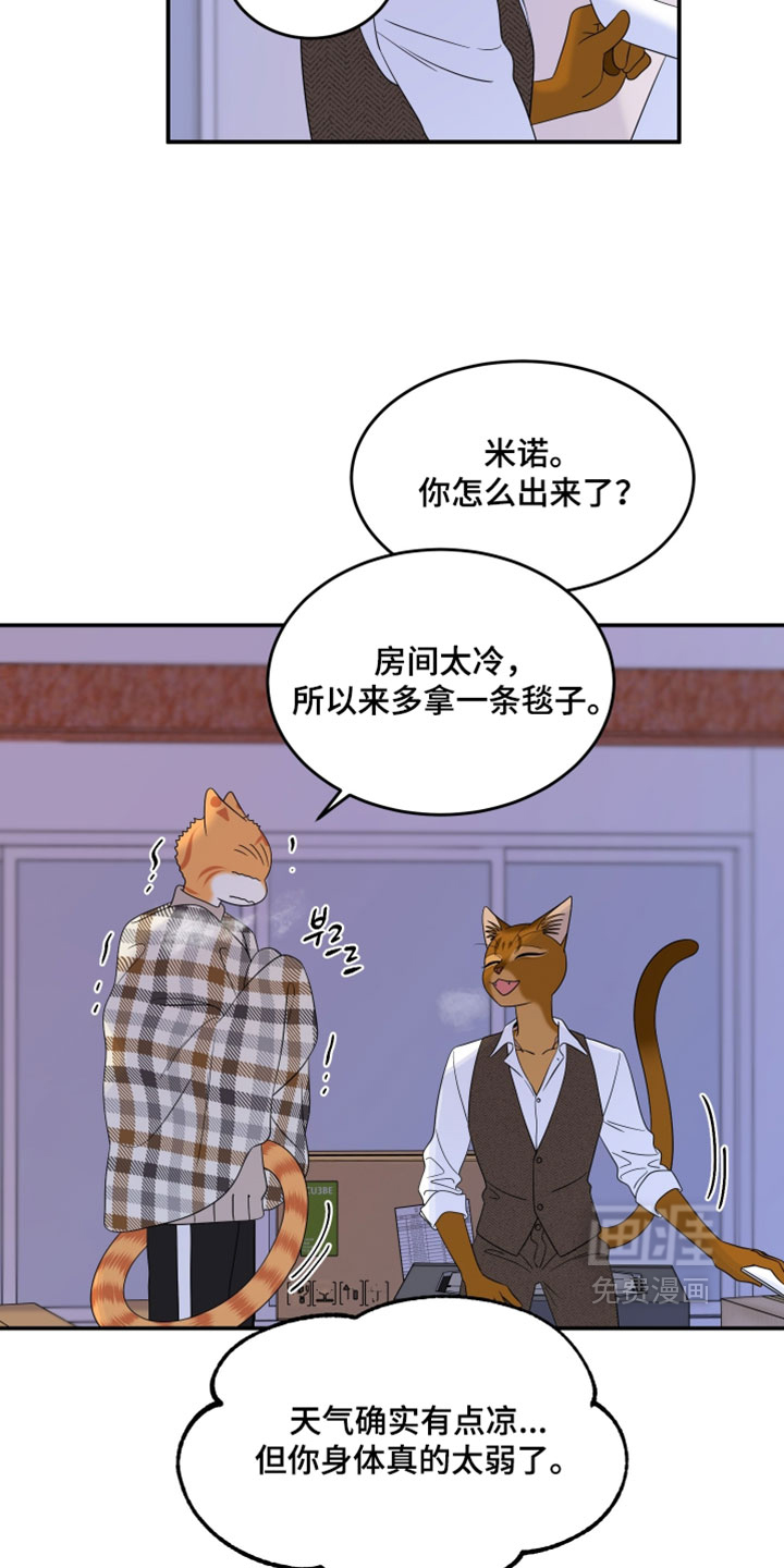 第187话5