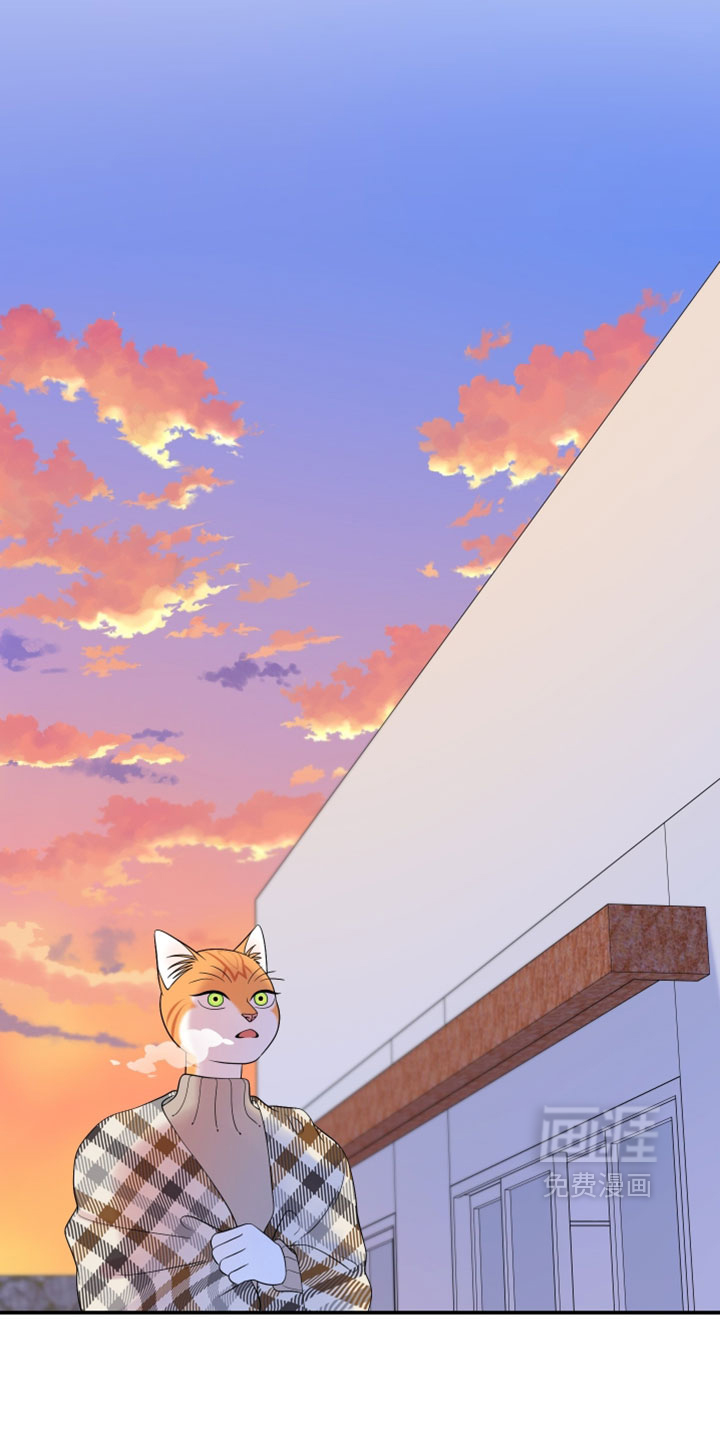 第187话3