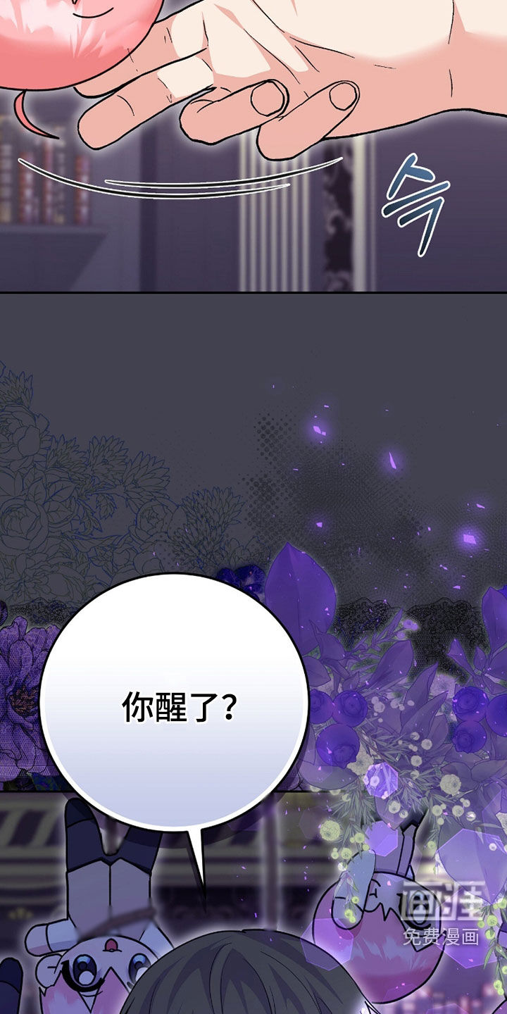 第100话11