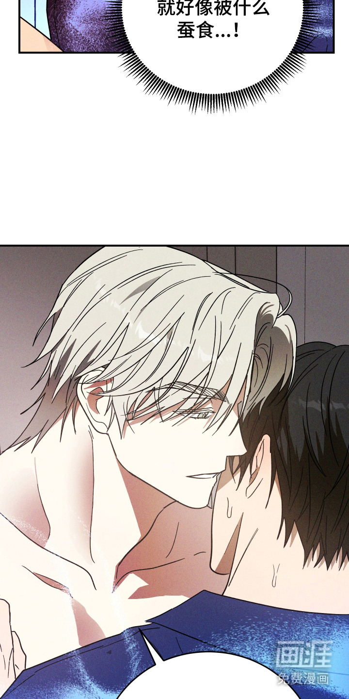 第13话 第5页