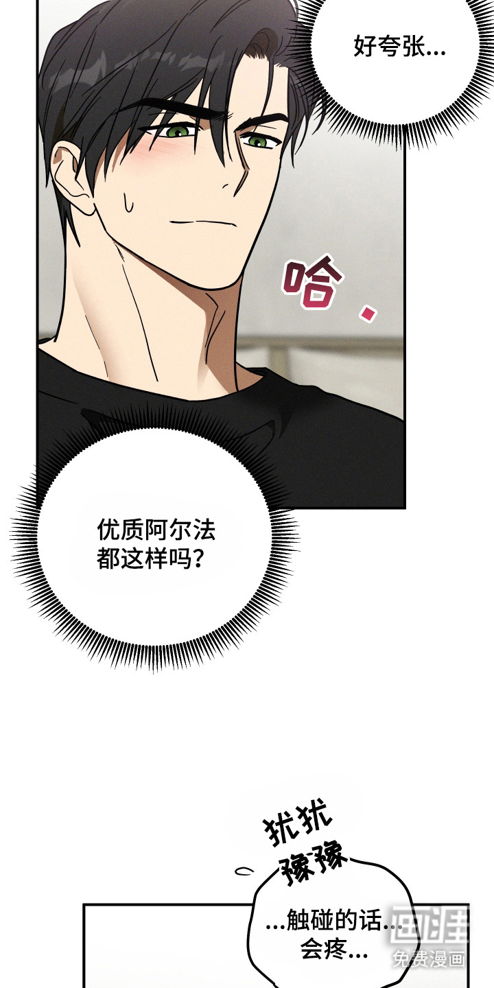 第7话 第19页