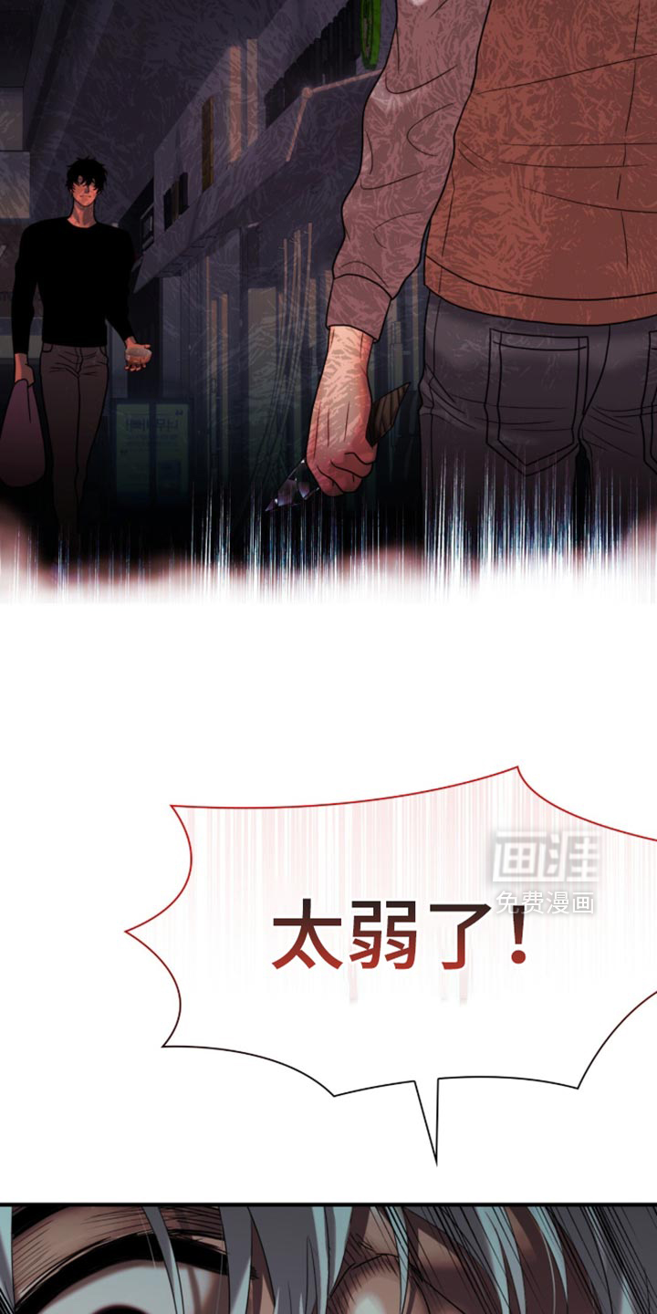 第95话31