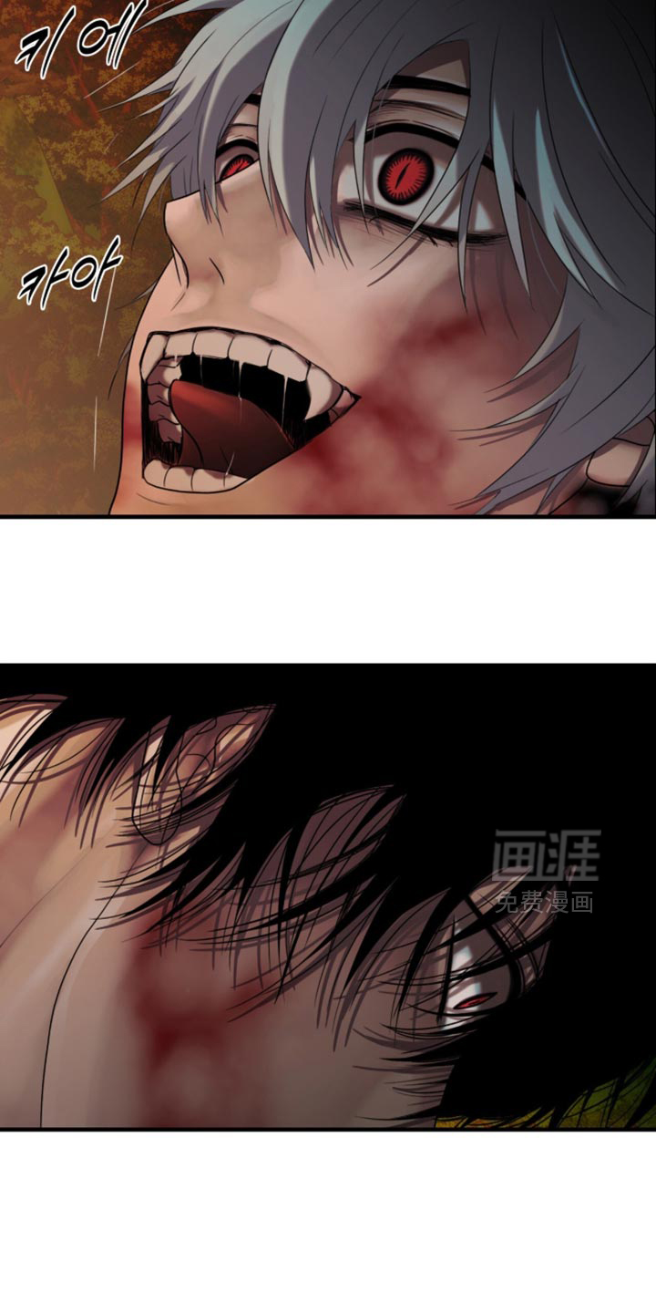 第95话24