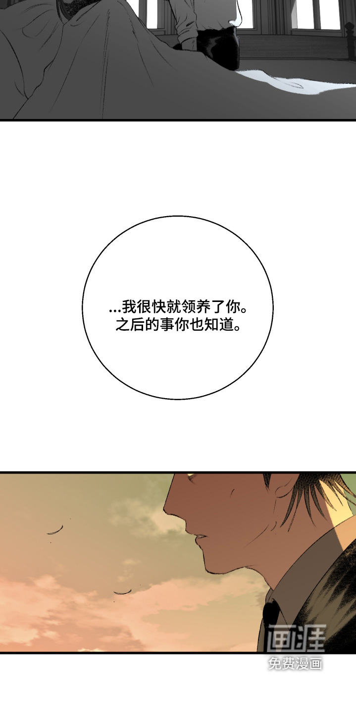 第116话11