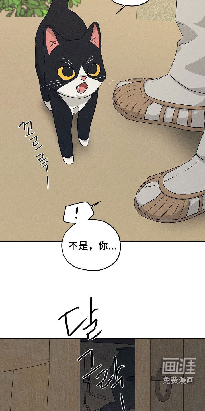第63话5