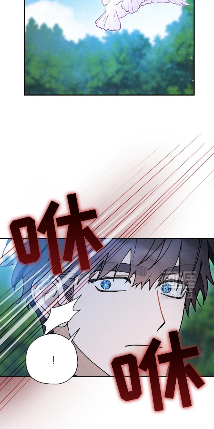 第184话17