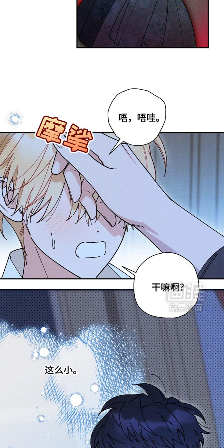 第172话5