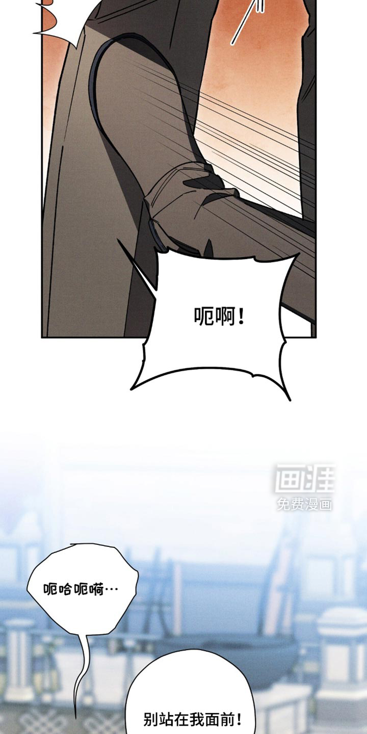 第168话11