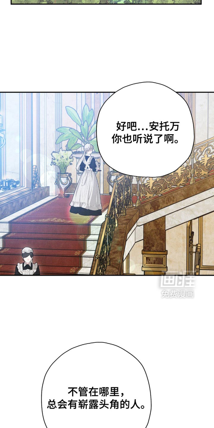 第166话11