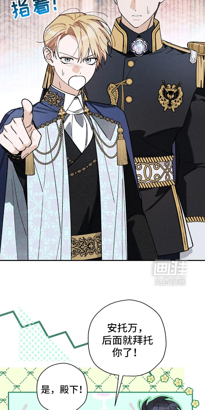 第146话12